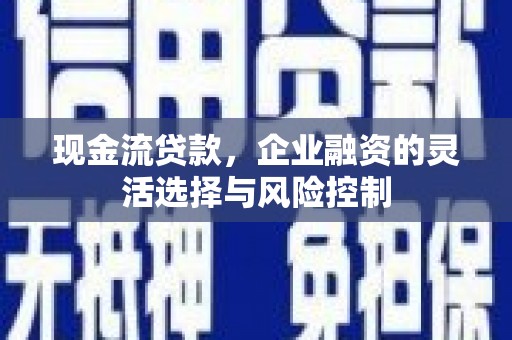 正阳现金流贷款，企业融资的灵活选择与风险控制