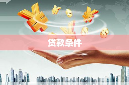 正阳贷款条件