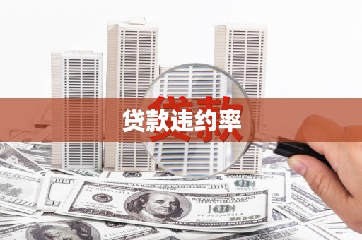 正阳贷款违约率