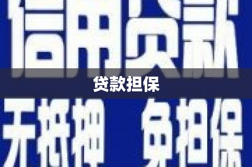 正阳贷款担保
