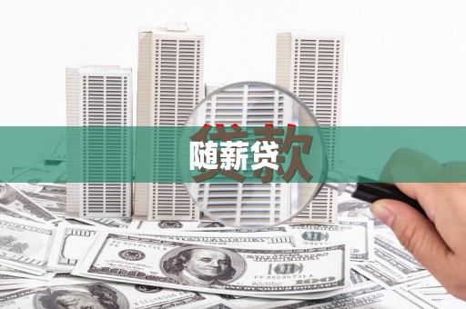 正阳随薪贷