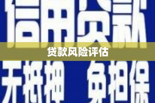 正阳贷款风险评估