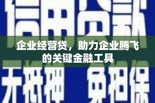 正阳企业经营贷，助力企业腾飞的关键金融工具