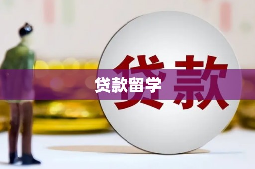 正阳贷款留学