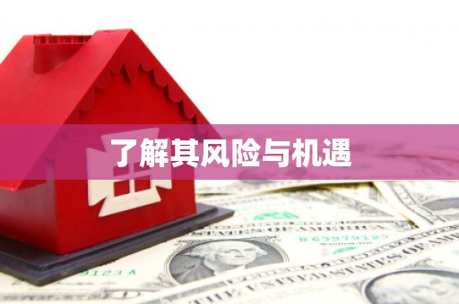正阳了解其风险与机遇