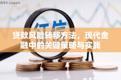 正阳贷款风险转移方法，现代金融中的关键策略与实践