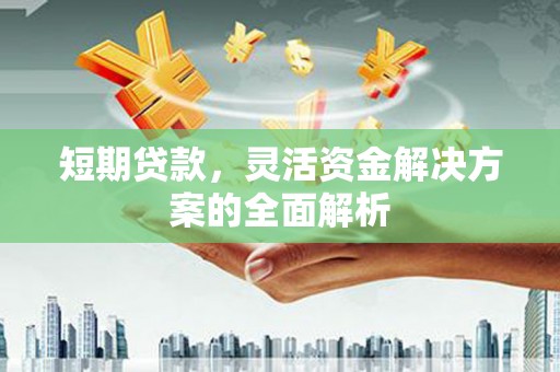 正阳短期贷款，灵活资金解决方案的全面解析