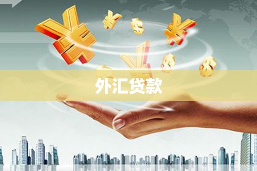 正阳外汇贷款