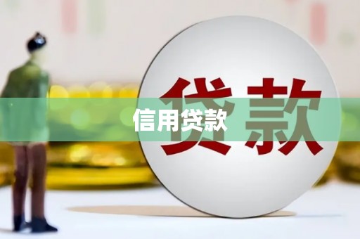 正阳信用贷款