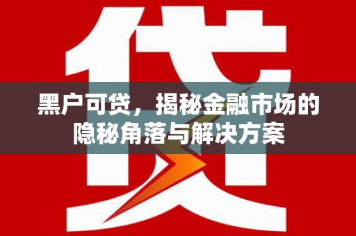 正阳黑户可贷，揭秘金融市场的隐秘角落与解决方案