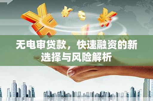 正阳无电审贷款，快速融资的新选择与风险解析