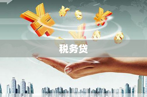 正阳税务贷