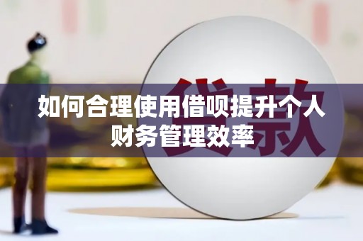 正阳如何合理使用借呗提升个人财务管理效率