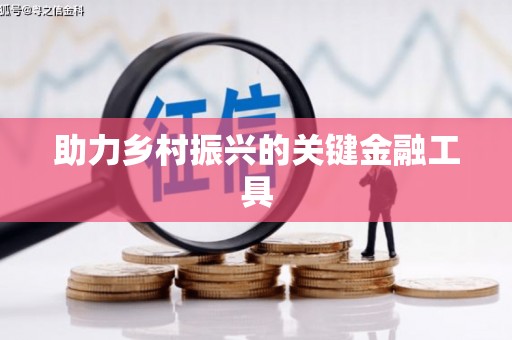 正阳助力乡村振兴的关键金融工具