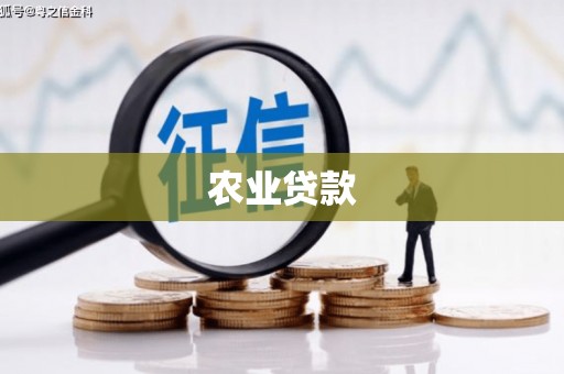 正阳农业贷款