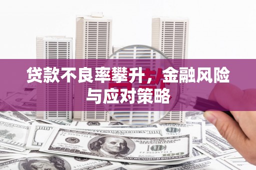 正阳贷款不良率攀升，金融风险与应对策略