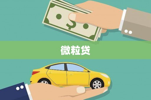 正阳微粒贷