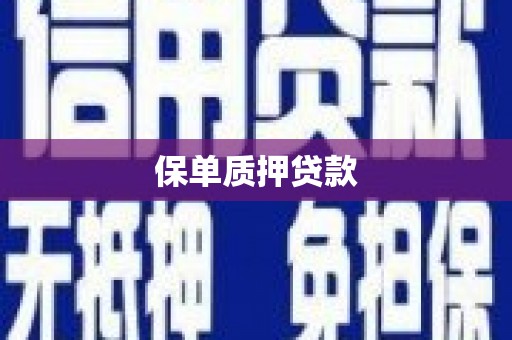 正阳保单质押贷款