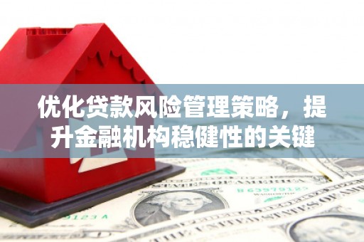 正阳优化贷款风险管理策略，提升金融机构稳健性的关键
