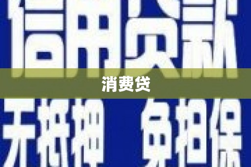 正阳消费贷