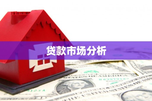 正阳贷款市场分析