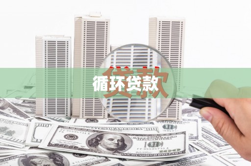 正阳循环贷款
