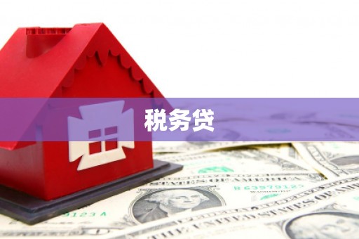正阳税务贷