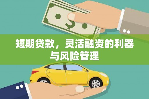 正阳短期贷款，灵活融资的利器与风险管理