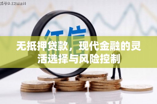 正阳无抵押贷款，现代金融的灵活选择与风险控制