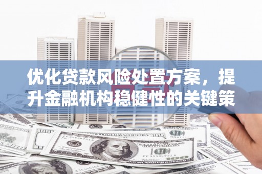 正阳优化贷款风险处置方案，提升金融机构稳健性的关键策略