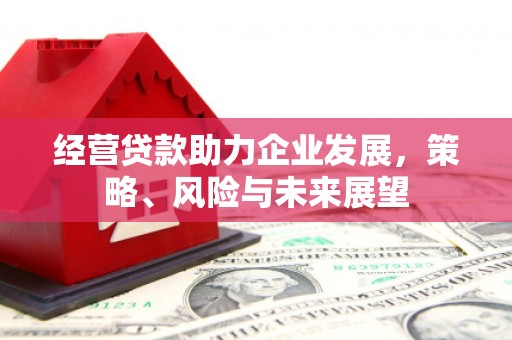 正阳经营贷款助力企业发展，策略、风险与未来展望