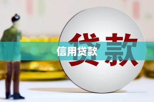 正阳信用贷款