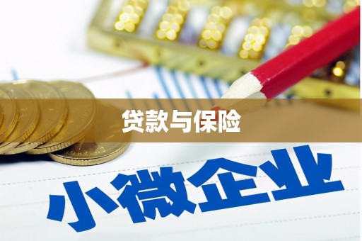 正阳贷款与保险