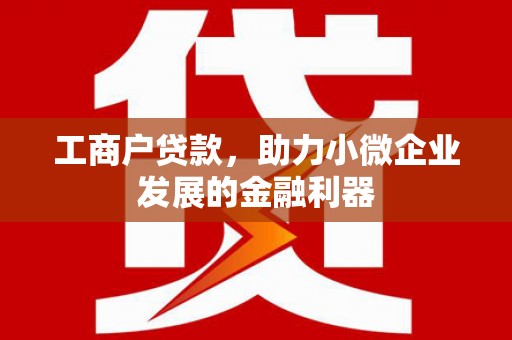 正阳工商户贷款，助力小微企业发展的金融利器