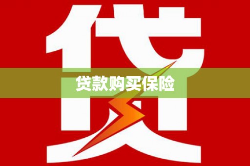 正阳贷款购买保险