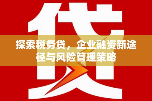 正阳探索税务贷，企业融资新途径与风险管理策略