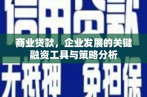 正阳商业贷款，企业发展的关键融资工具与策略分析