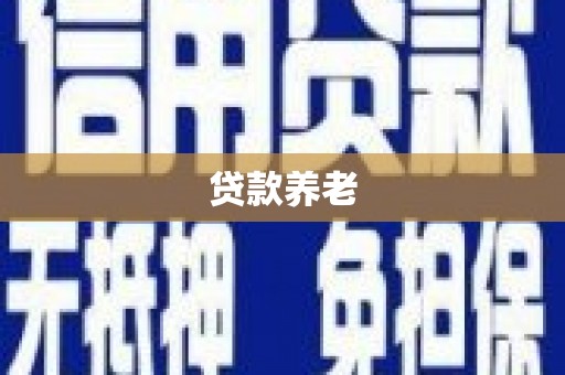 正阳贷款养老
