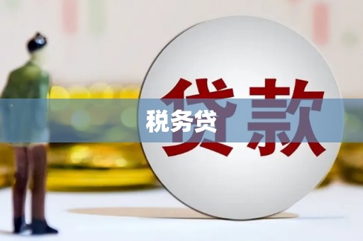 正阳税务贷