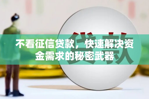 正阳不看征信贷款，快速解决资金需求的秘密武器