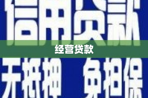 正阳经营贷款