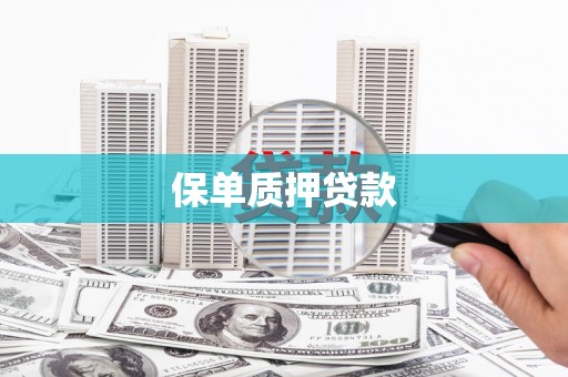 正阳保单质押贷款