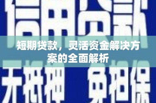 正阳短期贷款，灵活资金解决方案的全面解析