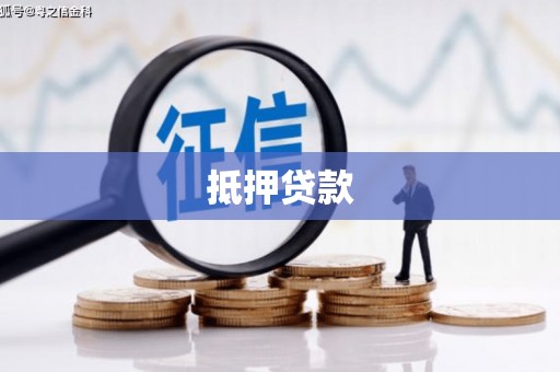 正阳抵押贷款