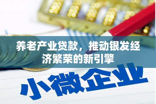 正阳养老产业贷款，推动银发经济繁荣的新引擎