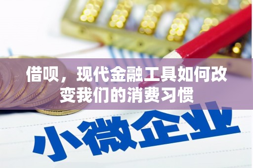 正阳借呗，现代金融工具如何改变我们的消费习惯
