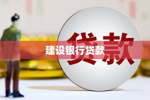 正阳建设银行贷款