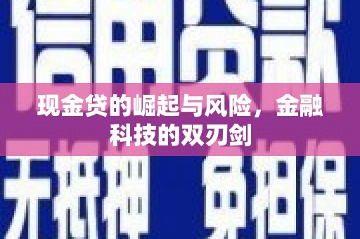 正阳现金贷的崛起与风险，金融科技的双刃剑