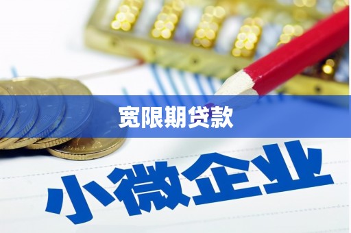 正阳宽限期贷款