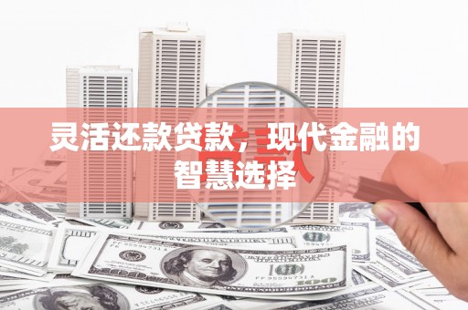 正阳灵活还款贷款，现代金融的智慧选择